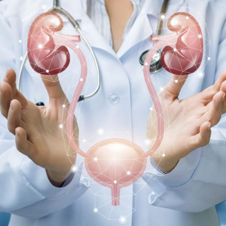 Visita Urologica